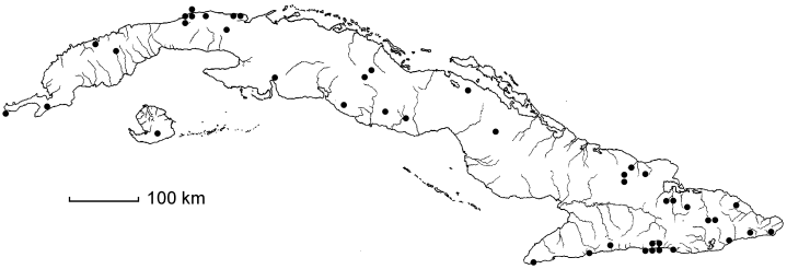 Banisteriopsis pauciflora