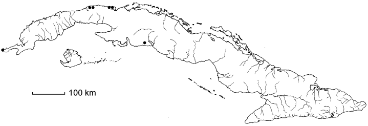 Bunchosia emarginata