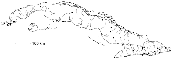 Bunchosia swartziana