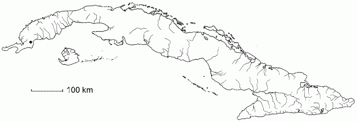 Chamaecrista guanensis