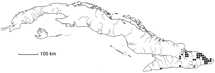 Gesneria duchartreoides