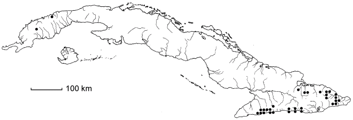 Lisianthius glandulosus