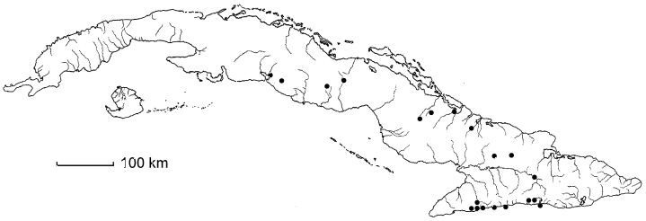 Paullinia fuscescens