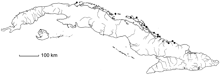 Pithecellobium keyense
