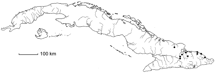 Stigmaphyllon nipense