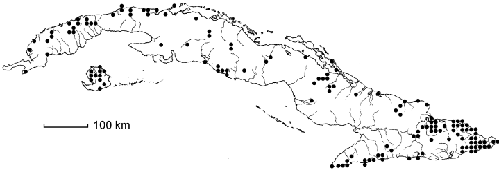 Stigmaphyllon sagranum